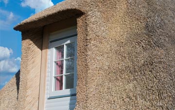 Bellsbank thatch roof disadvantages